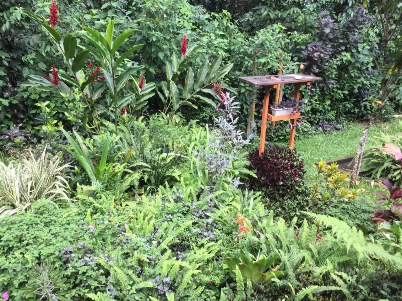 Casa Arariba - Ilha Grande - Abraão Eksteriør bilde