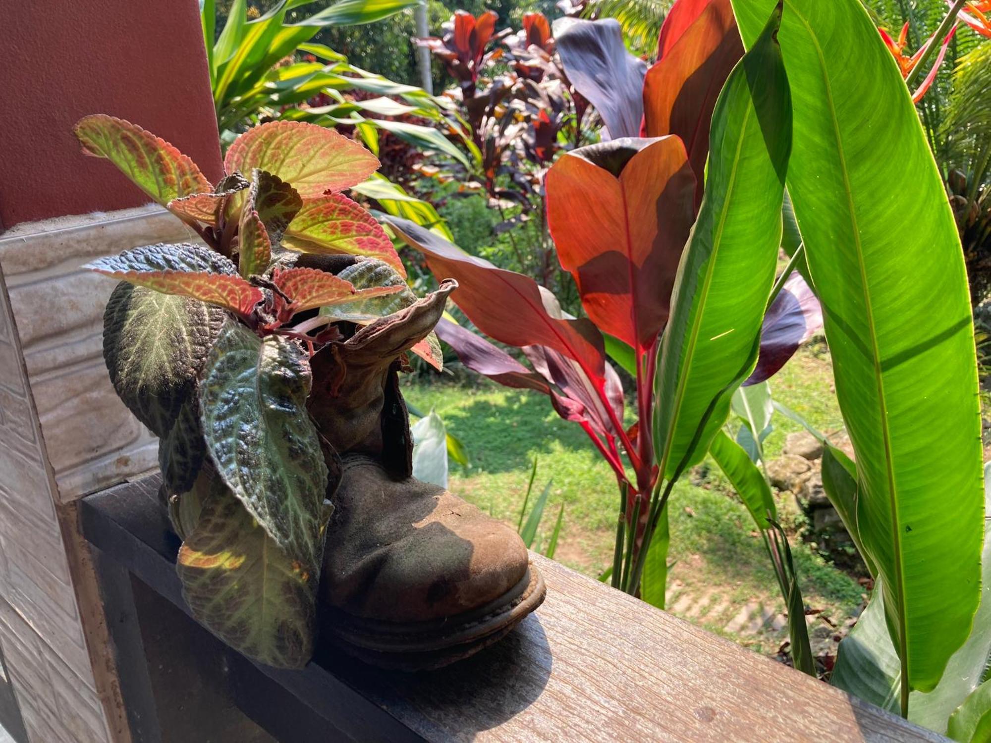 Casa Arariba - Ilha Grande - Abraão Eksteriør bilde