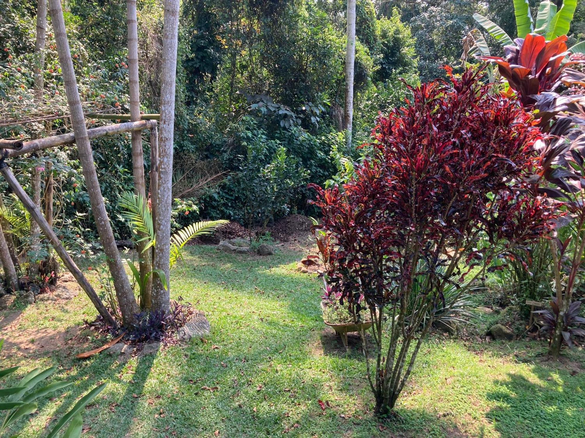 Casa Arariba - Ilha Grande - Abraão Eksteriør bilde